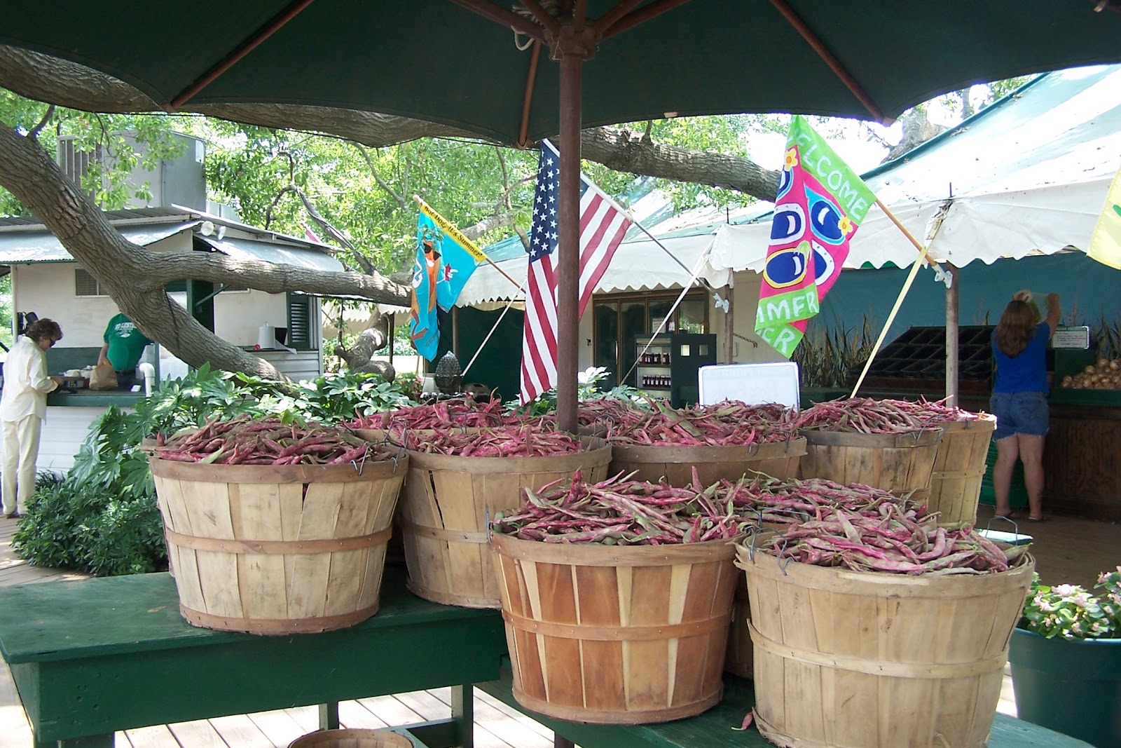 And So it Goes in Shreveport Take a Trip to Coushatta Down Louisiana Backroads