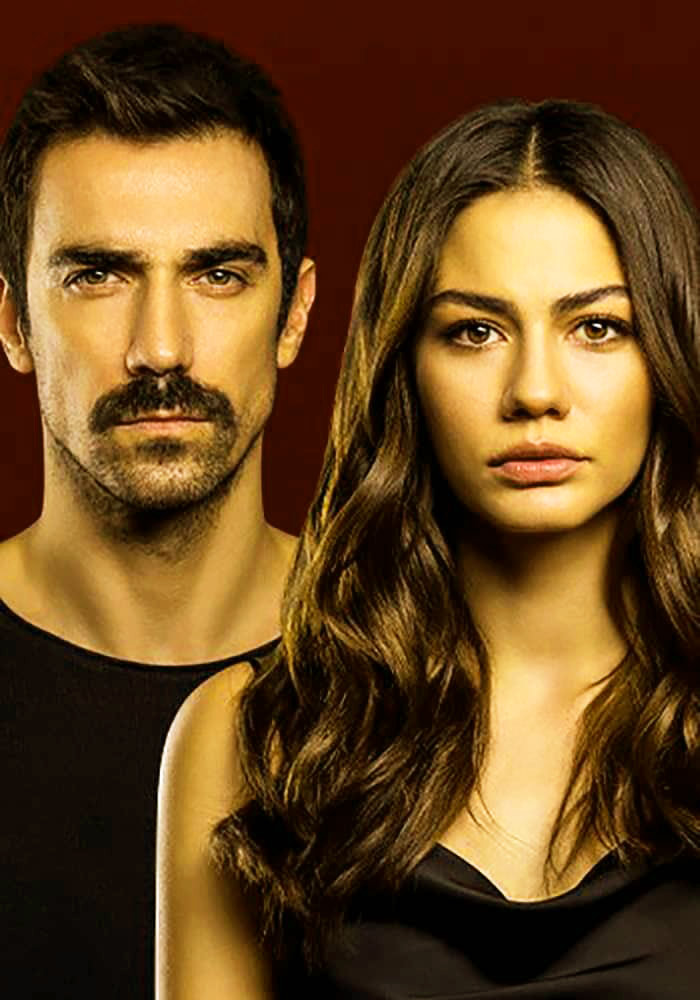 مسلسل منزلي الحلقة 24