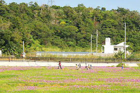 teacher, students, children, flowers, field
