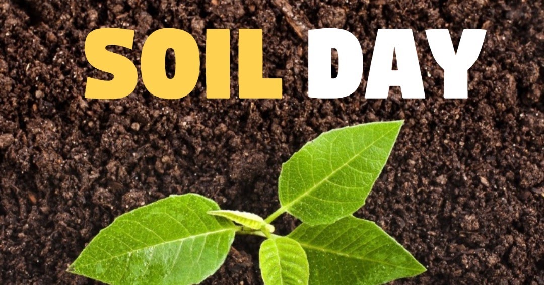 (Latest) World Soil Day 2020 Images, Poster, Photos, Wallpaper