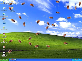 Cockroach On Desktop