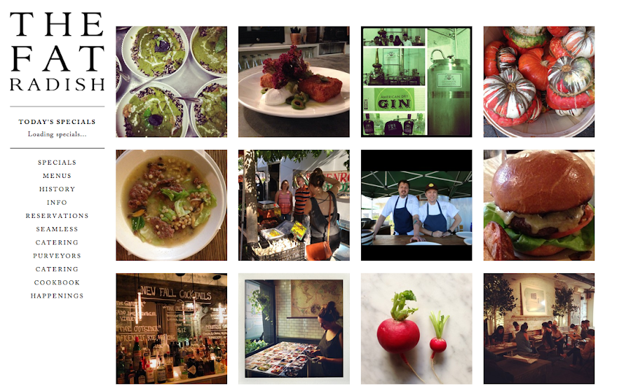 PAGINA WEB THE FAT RADISH