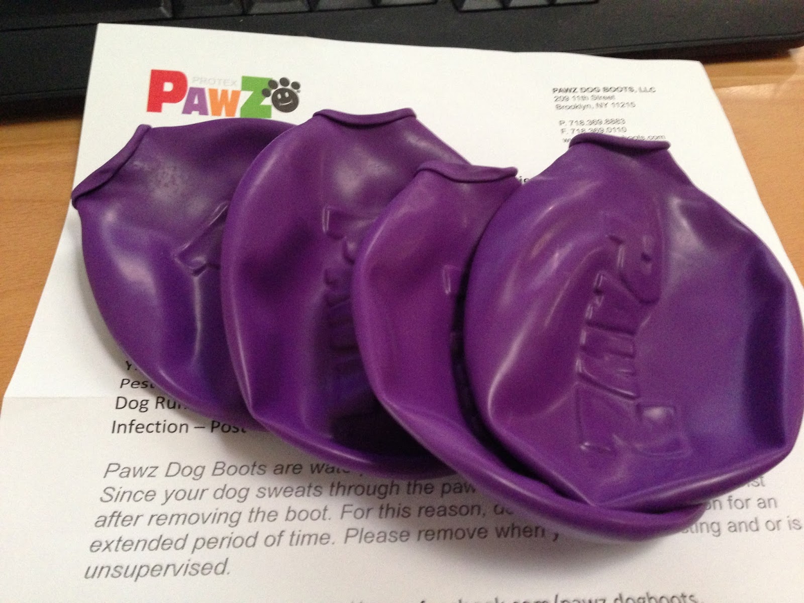 Weims for Me Doggy Booties!