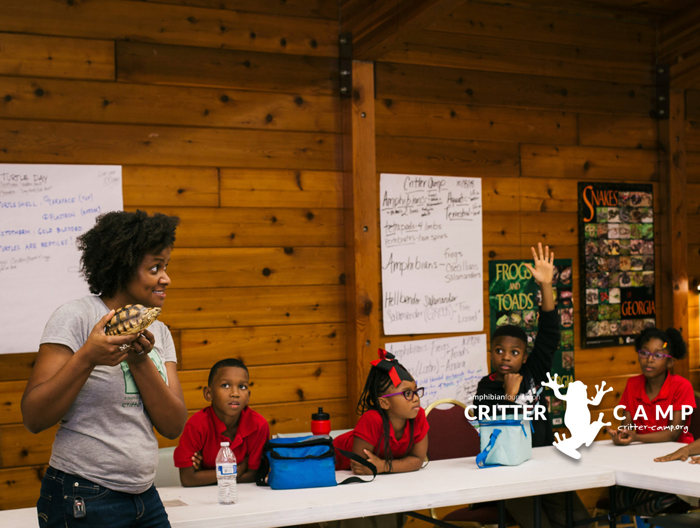 A novel approach to supporting amphibian conservation in the Southeast US.