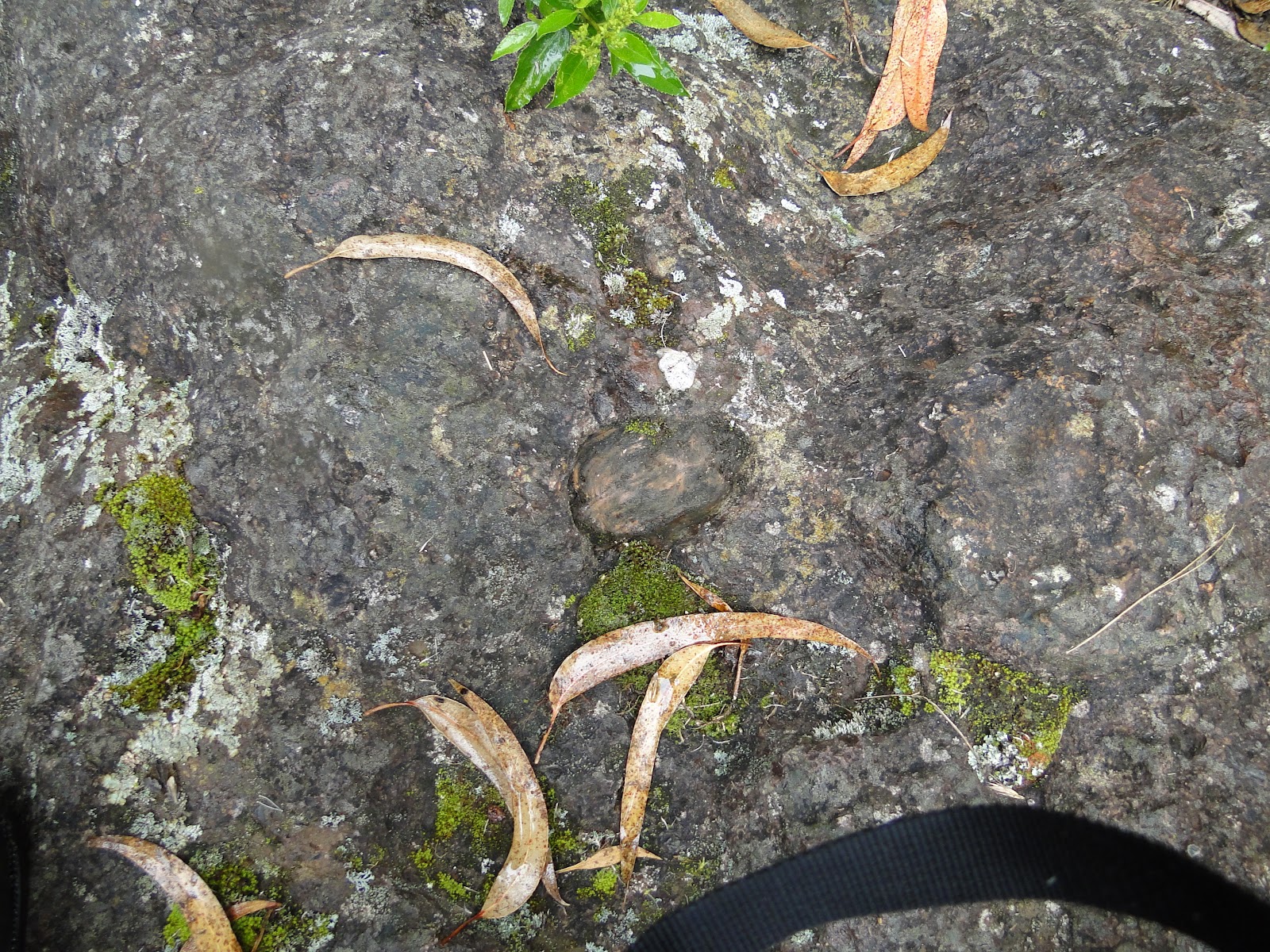 MEMORIAS DE LA PARROQUIA LA VICTORIA UTC