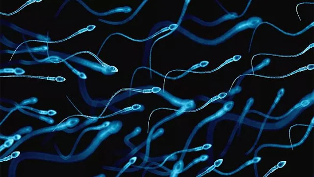  Penjelasan LIPI soal Virus Corona di Sperma Pasien Covid-19 