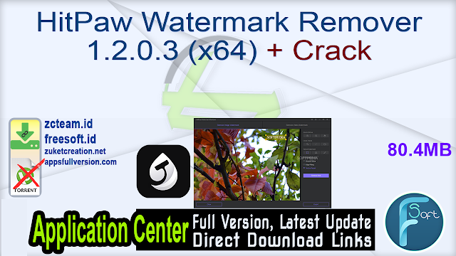 HitPaw Watermark Remover 1.2.0.3 (x64) + Crack_ ZcTeam.id