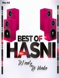 DJ Mel & DJ Blonka-Best Of Hasni 2015