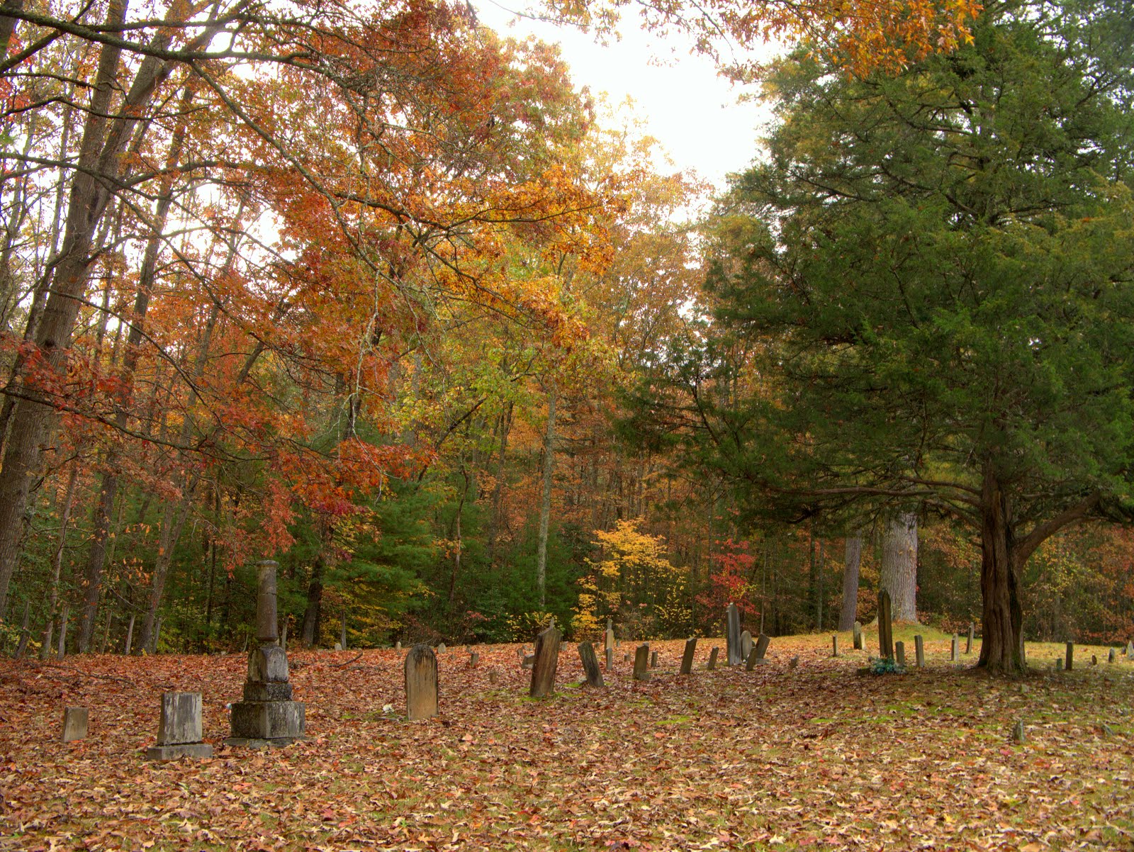 My postcard Piney Grove Cemetery