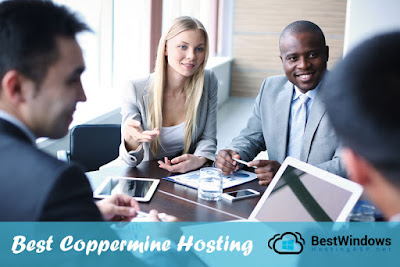 Finding the Best and Cheap Coppermine Hosting