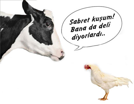 52011060vk7.png
