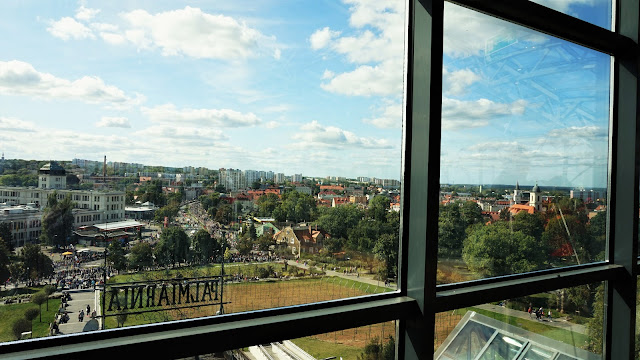 palmiarnia zielona góra