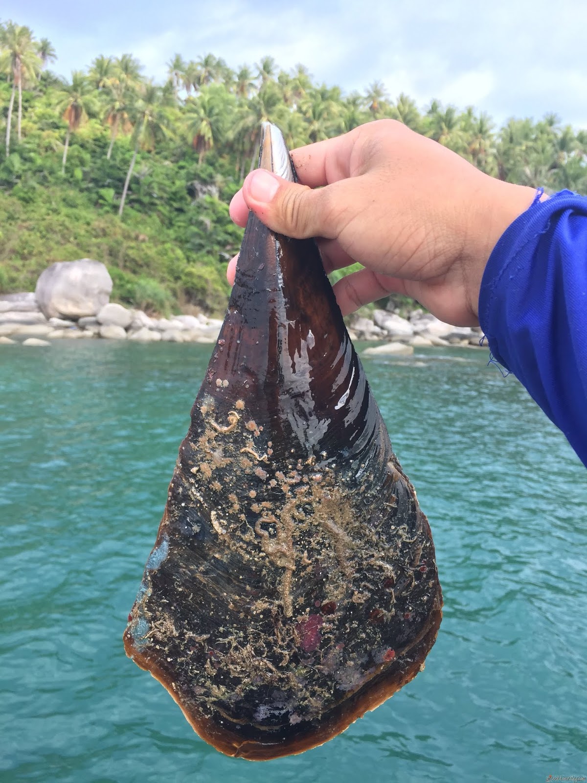 Kinh nghiệm du lịch Hòn Sơn Kiên Giang 2 ngày 1 đêm chi tiết A-Z