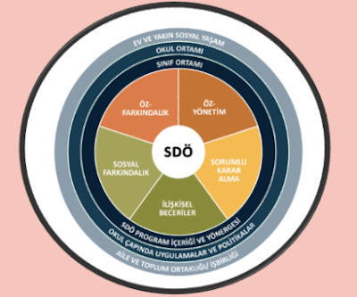 casel sosyo-duygusal öğrenme