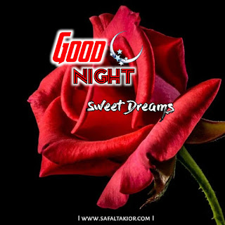 sweet dreams rose flower good night images