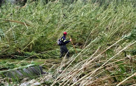 Στενή: Τραγικός επίλογος στην εξαφάνιση ηλικιωμένου - Βρέθηκε νεκρός σε ρέμα