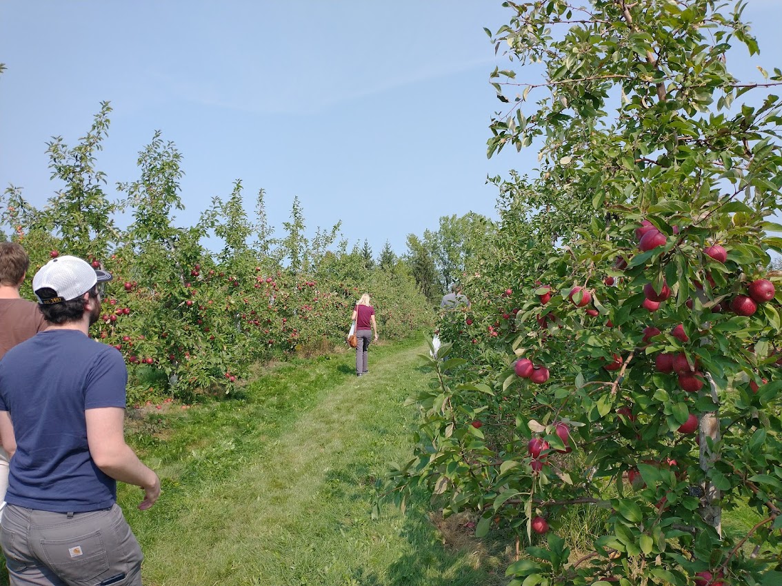 Final Weekly Fruit Update of 2021