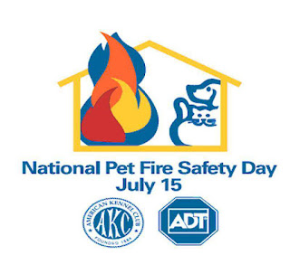 National Pet Fire Safety Day HD Pictures, Wallpapers