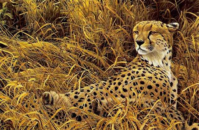 Роберт Бейтмэн / Robert Bateman Cheetah with Cubs