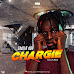 Music: Chally Doe - Chargie (Mixed by Zee Bs) // @chally_doe @afrohypmusicmgt