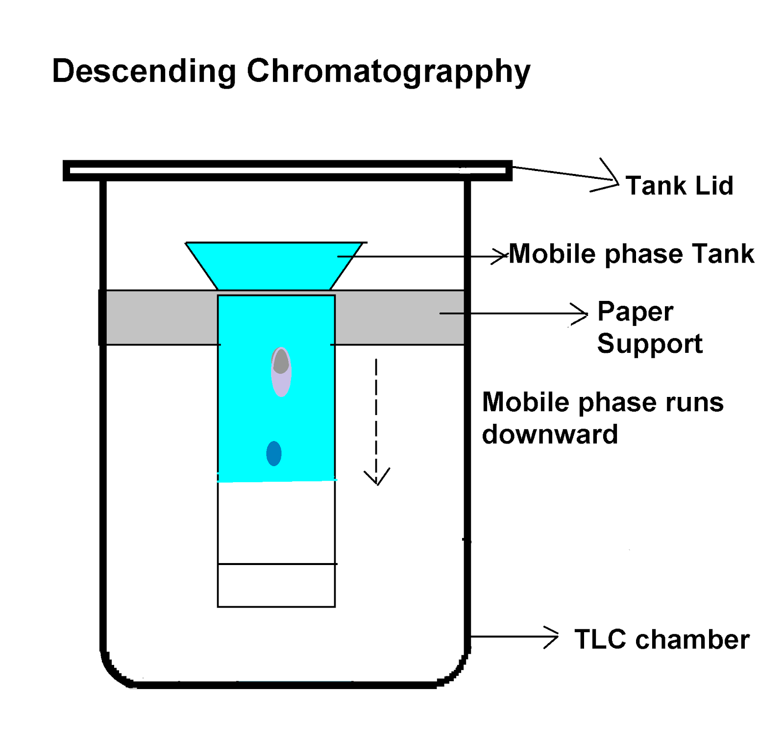 Chromatography Diagram Labeled