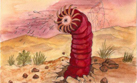 Черви в пустыне. Пустыня Гоби олгой хорхой. Гигантский червь олгой-хорхой. Монгольский олгой хорхой.