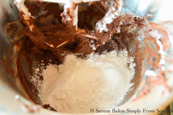 Add flour to make Double Chocolate Chip Cookie dough.
