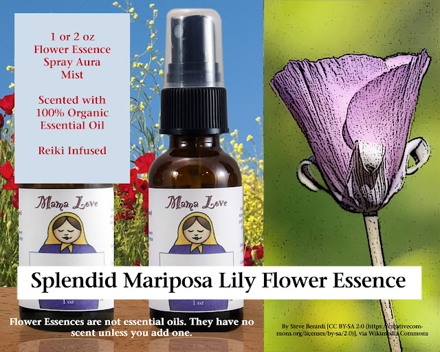 Splendid Mariposa Lily Flower Essence Scented Spray
