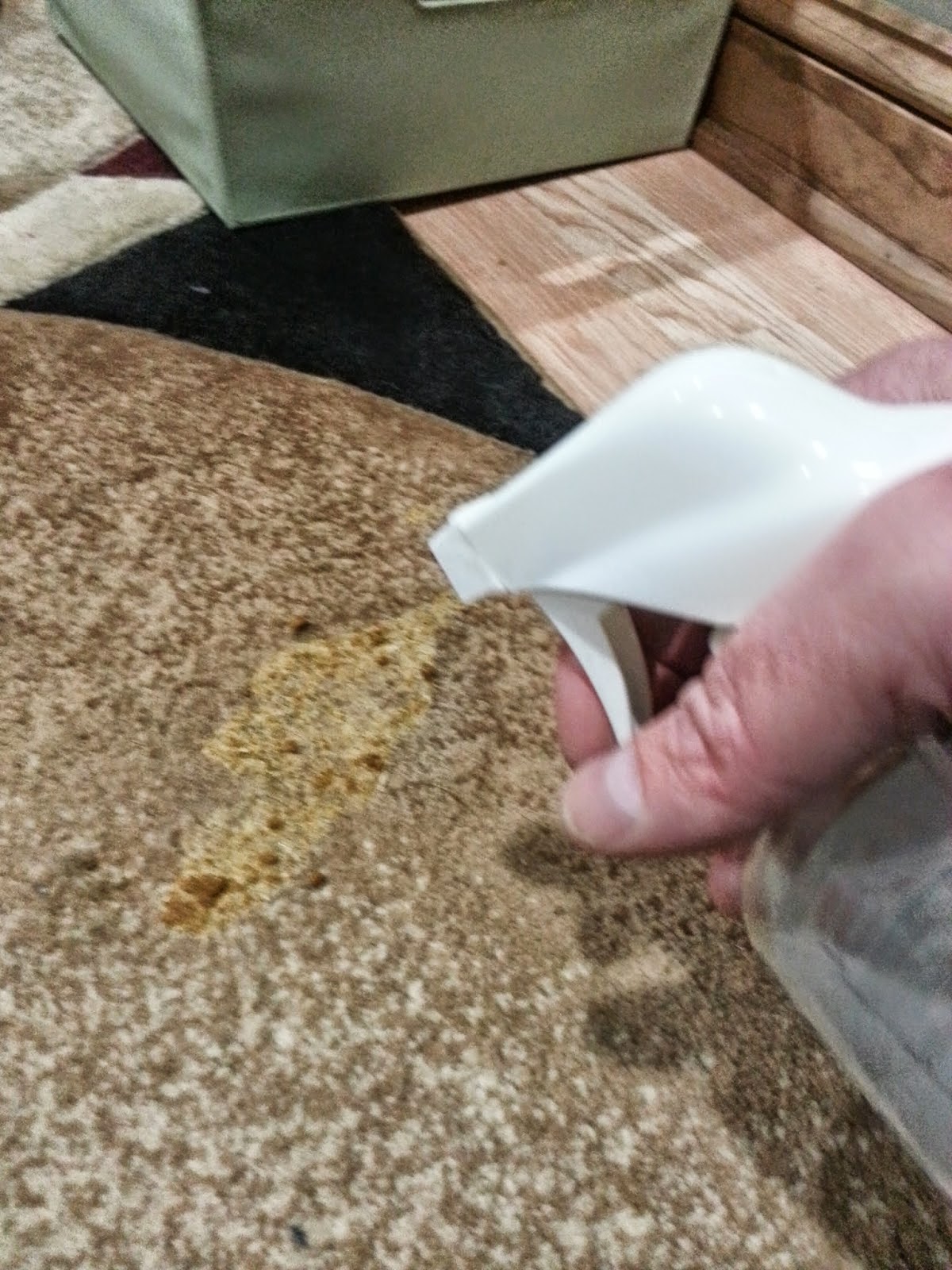 Remove cat vomit stains