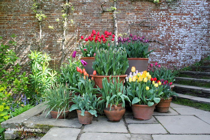 весеннее настроение весеннее настроение