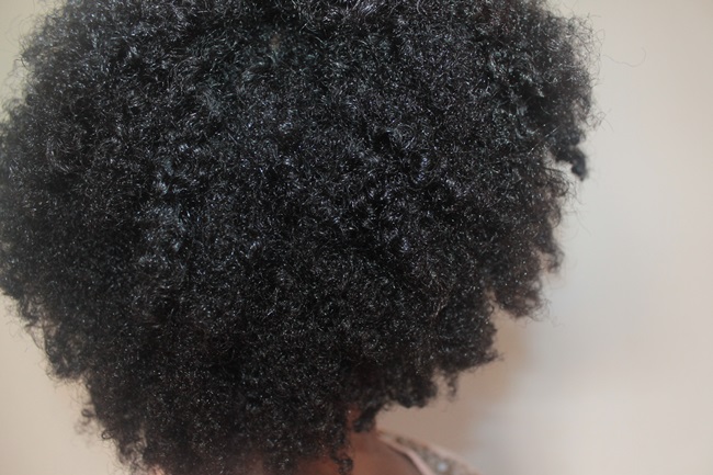 Routine Capillaire Avant Le Shampoing Nappy Diary