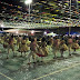 Festa Julina 2019 - Confira as fotos e responda a Pesquisa de Satisfação!