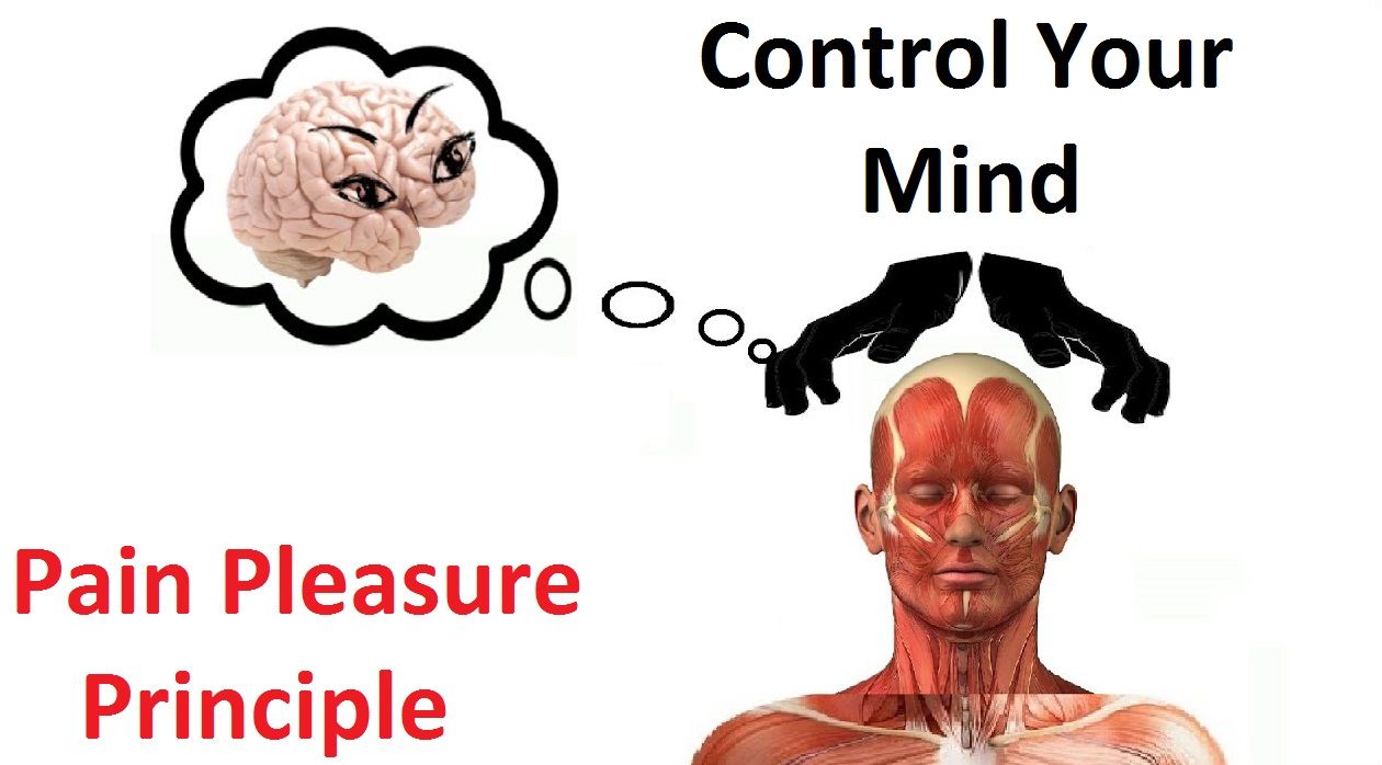 How To Use The Pain And Pleasure Principle To Control Your Mind PPP