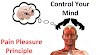 How To Use The Pain And Pleasure Principle To Control Your Mind | PPP Technique