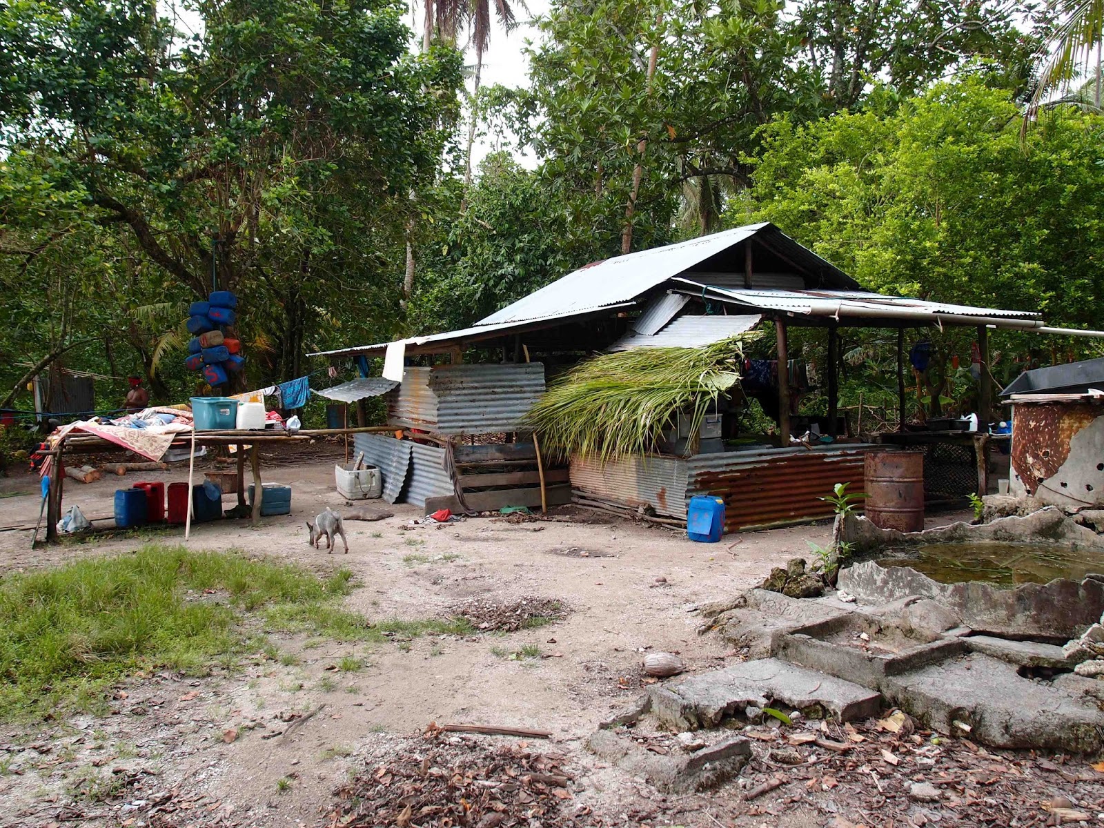 A Merman in Pohnpei 34 Pakin Part 1 of 3