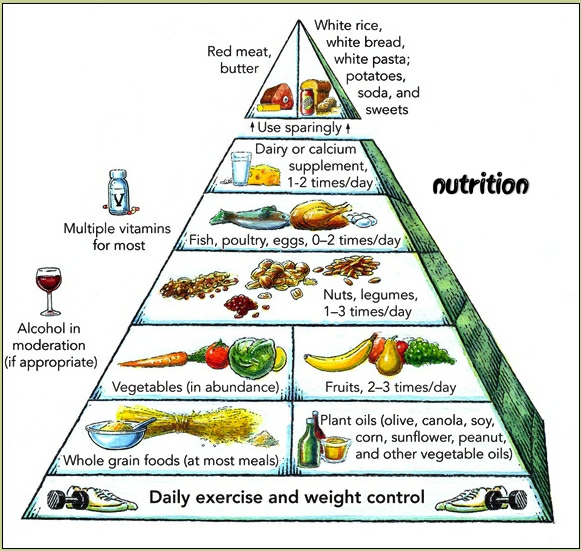Health and fitness articles: Nutrition