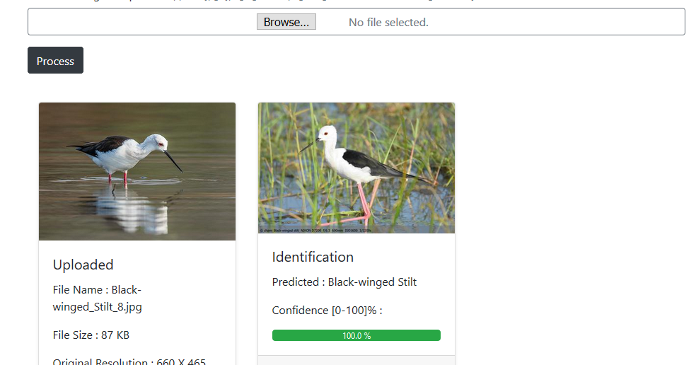 Codes of Interest Deep Learning Made Fun Bird Watch Our First Public Deep Learning Computer