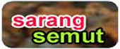 Sarang Semut