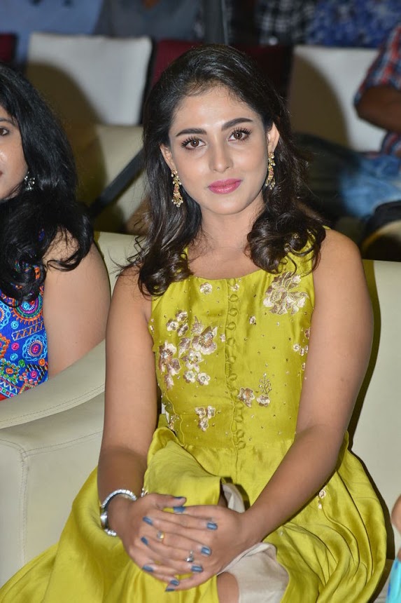 Madhu Shalini at Goodachari Pre Release Function