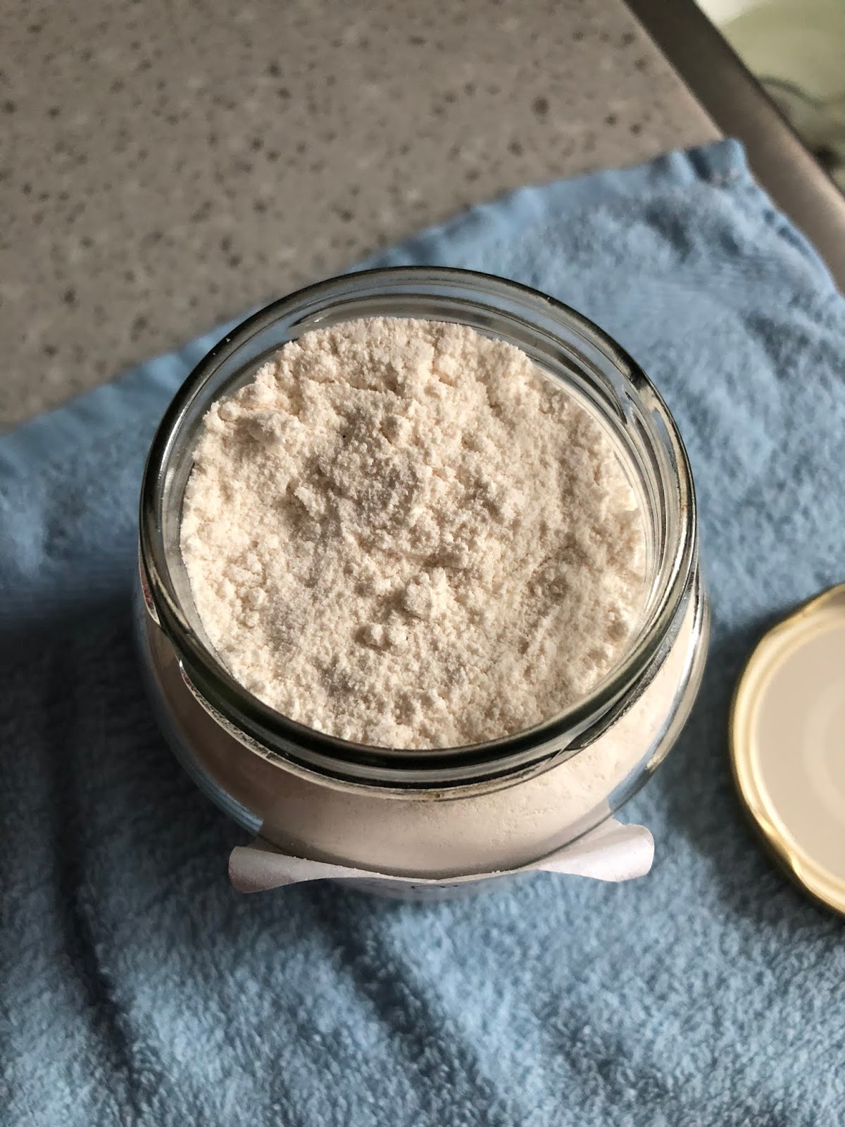 The Right to Be Alive Thermomix Vanilla Icing Sugar