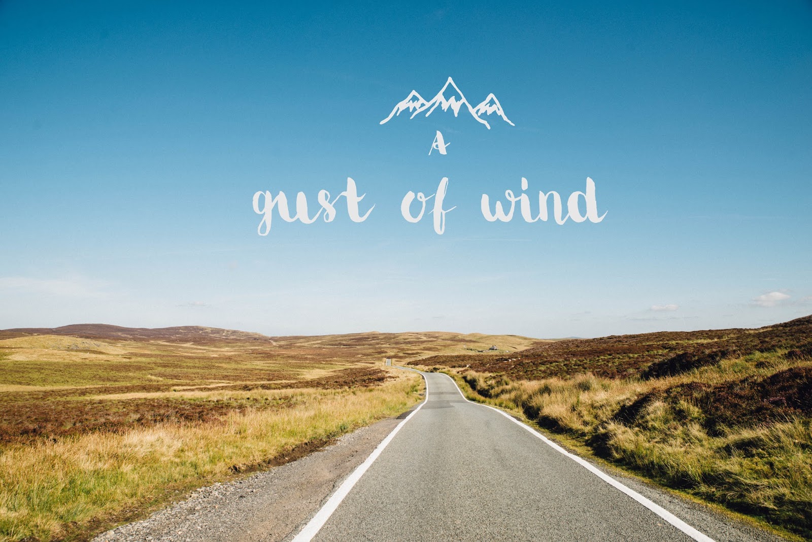 A Gust of Wind | The Salty Sea Blog