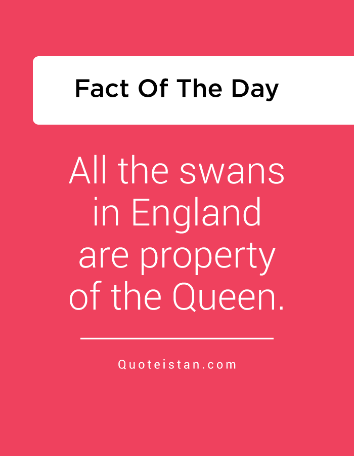 All the swans in England are property of the Queen.