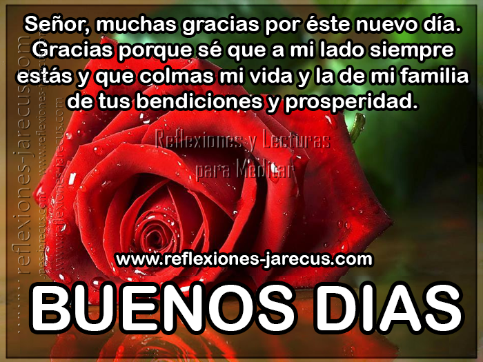 Buenos días, Señor, muchas gracias por este nuevo día. - Reflexiones y ...