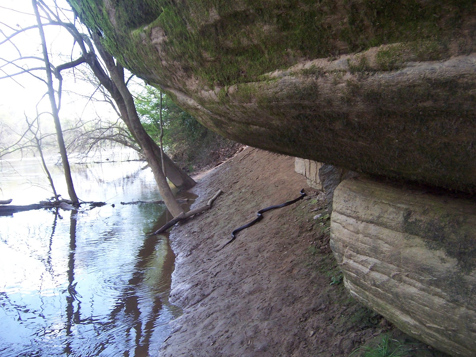 Ken Loyd's Eclectic Blog: Snake and Rocks of Raven Rock State Park