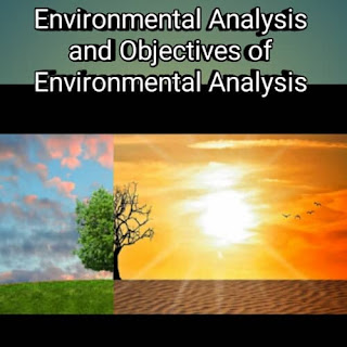 Environmental Analysis and Objectives of Environmental Analysis Environmental Analysis and Objectives of Environmental Analysis