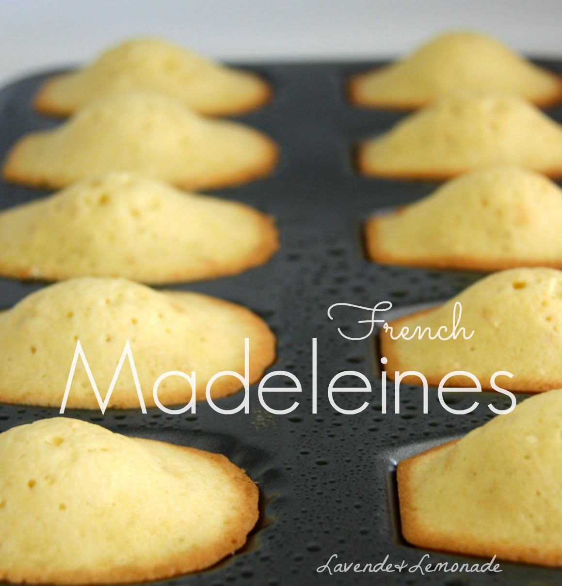 French Madeleines Easy French Pastries! Lavende and Lemonade