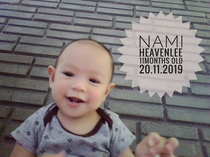 Nami Heavenlee || Jurnal 11 Bulan 