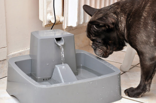 Fontaine Petsafe - Drinkwell 3.7 l