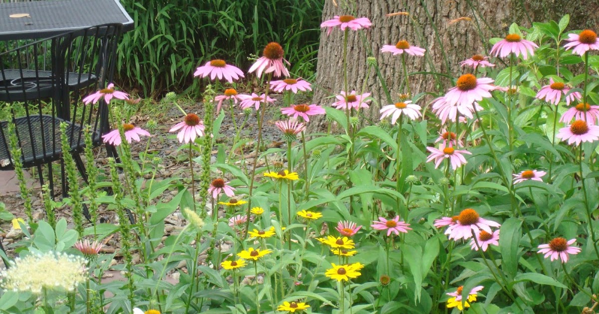 prosegarden: A Garden of Summer Flowers