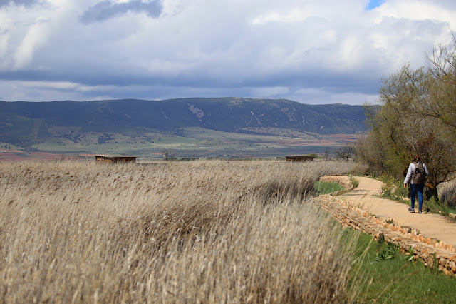 Itinerario a la torre de Prado Ancho - Tablas de Daimiel